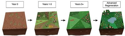 Ecosystem Impacts and Productive Capacity of a Multi-Species Pastured Livestock System